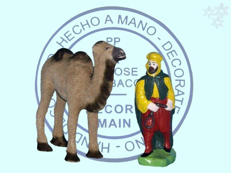 Conducteur de chameau avec chameau